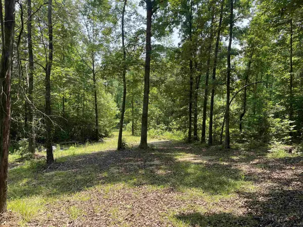 2460 421 HWY, Sardis, TN 38371