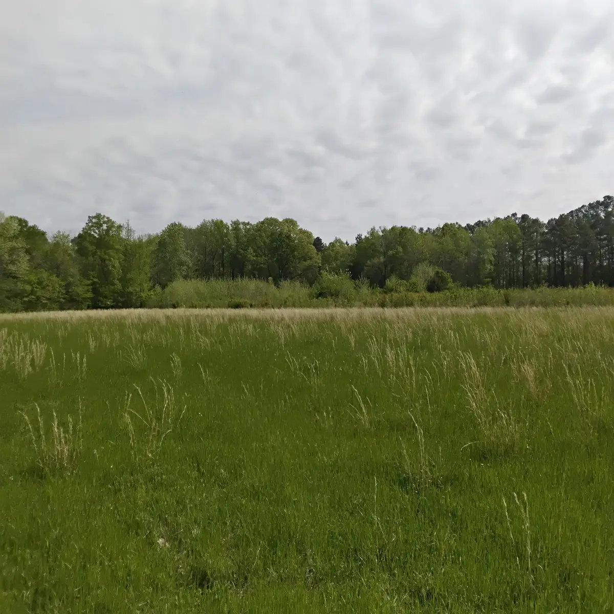 0 64 HWY, Lakeland, TN 38002 - Image #1