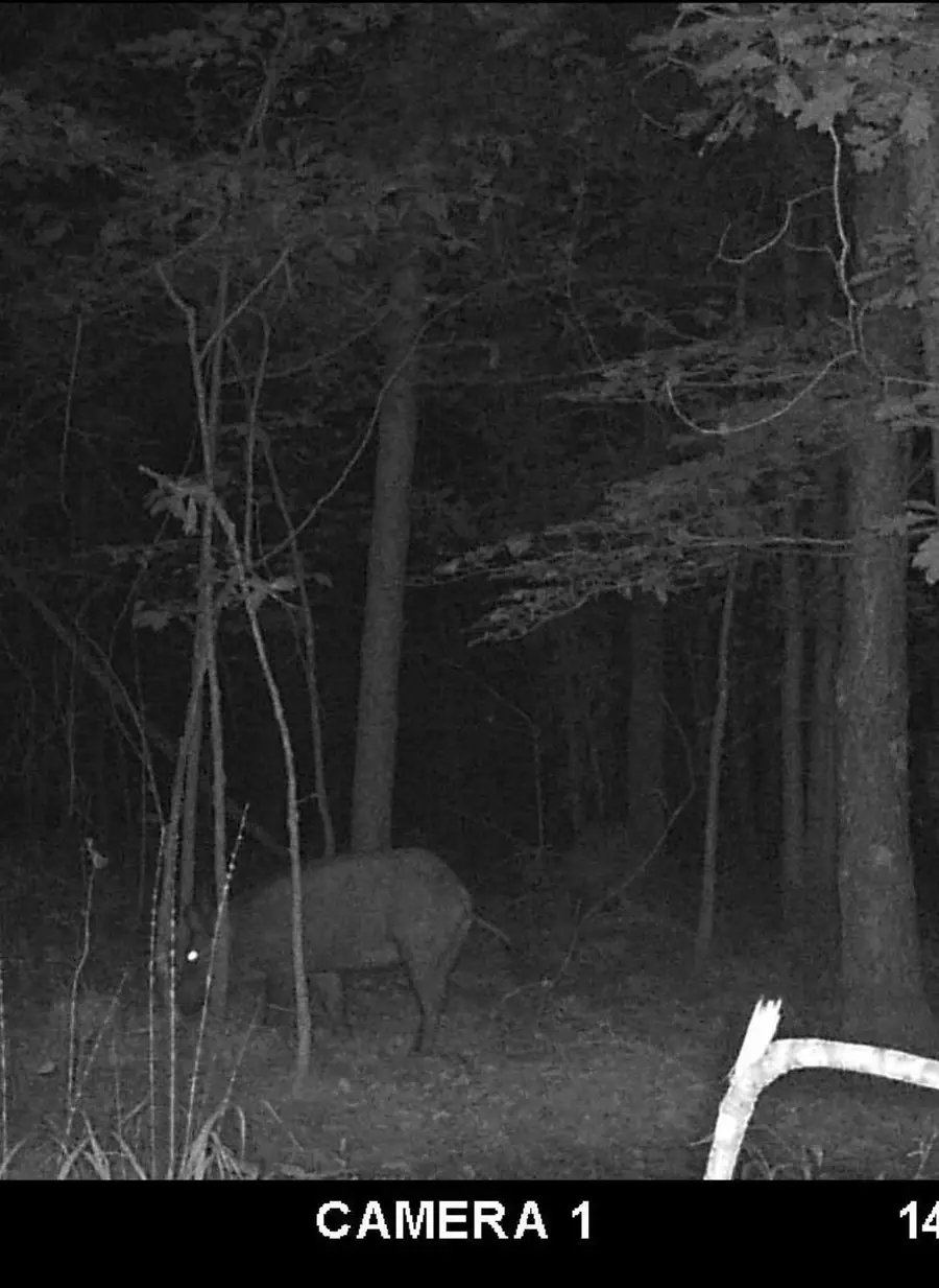 285 DEANS LN, Savannah, TN 38372 - Image #2