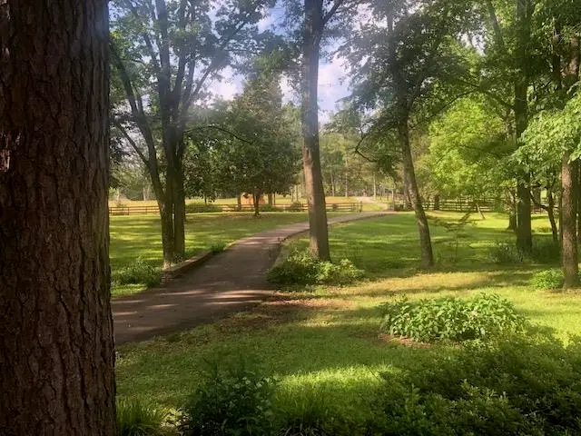 12211 MONTEREY RD, Collierville, TN 38017 - Image #3