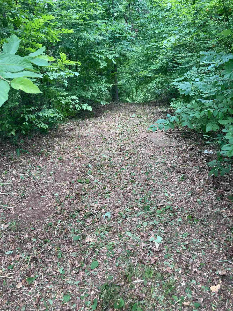 0 ST PAUL RD, Millington, TN 38053 - Image #3