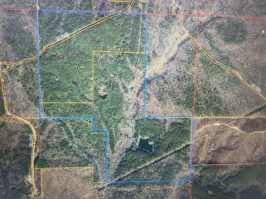 0 CR 335 TRACT 9 DR, Rienzi, MS 38865 - Image #1