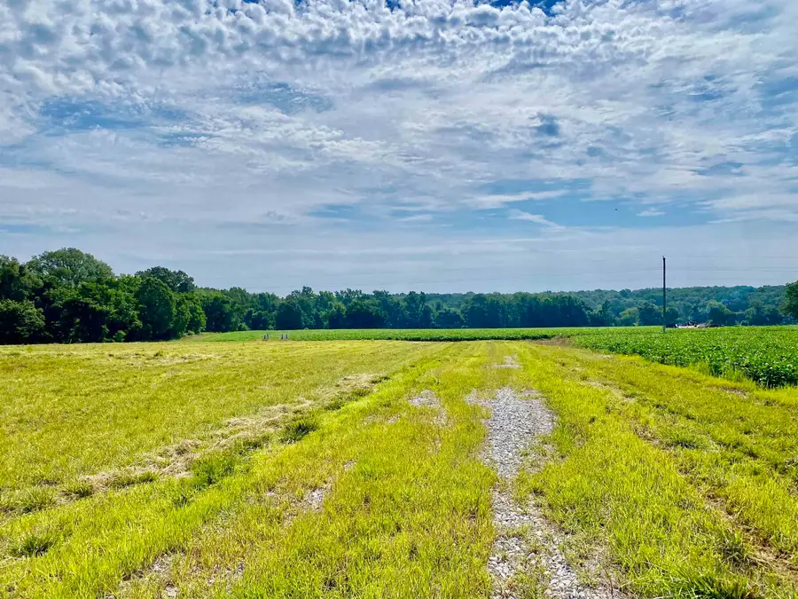 475 FERTILE VALLEY RD, Somerville, TN 38068 - Image #2