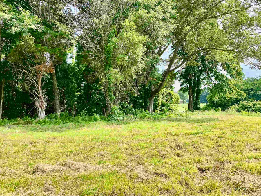 475 FERTILE VALLEY RD, Somerville, TN 38068 - Image #3