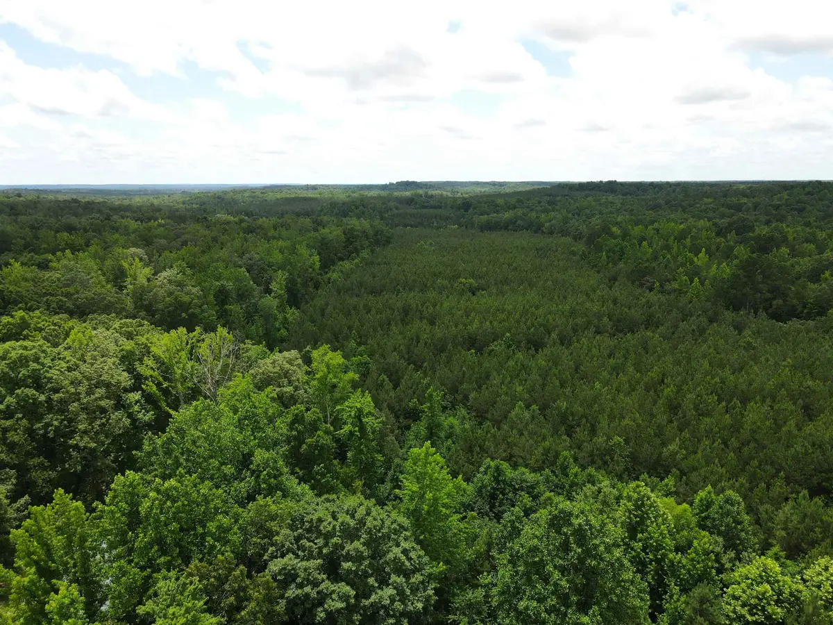 CANDY LN, Stantonville, TN 38379 - Image #1