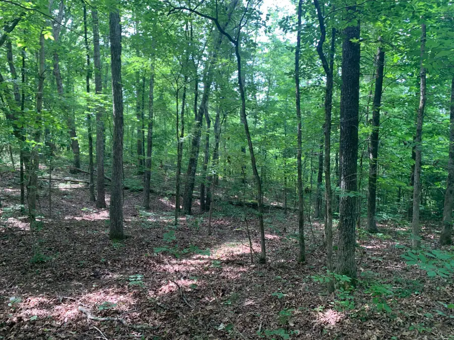 CANDY LN, Stantonville, TN 38379 - Image #2