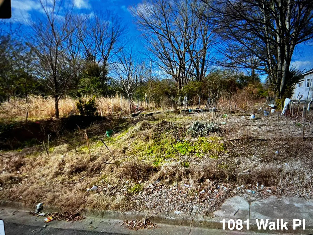 1081 WALK PL, Memphis, TN 38106 - Image #1