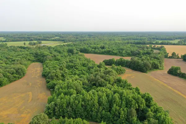 1858 DENMARK JACKSON RD, Denmark, TN 38391