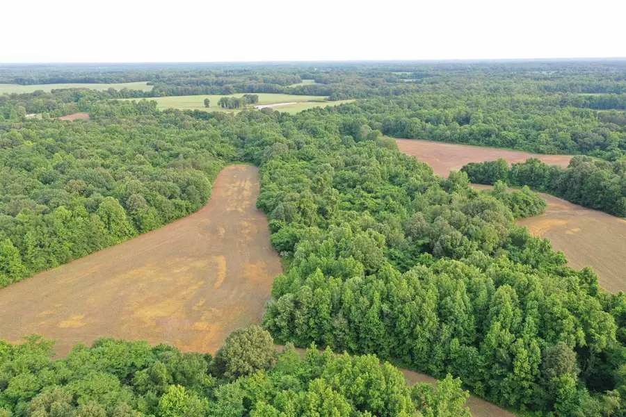 1858 DENMARK JACKSON RD, Denmark, TN 38391 - Image #2