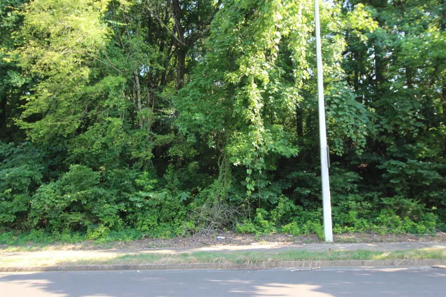 RIDGEMONT RD, Memphis, TN 38128 - Image #2