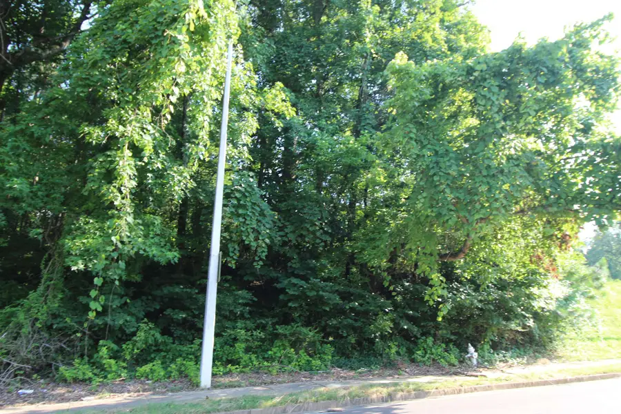 RIDGEMONT RD, Memphis, TN 38128 - Image #3