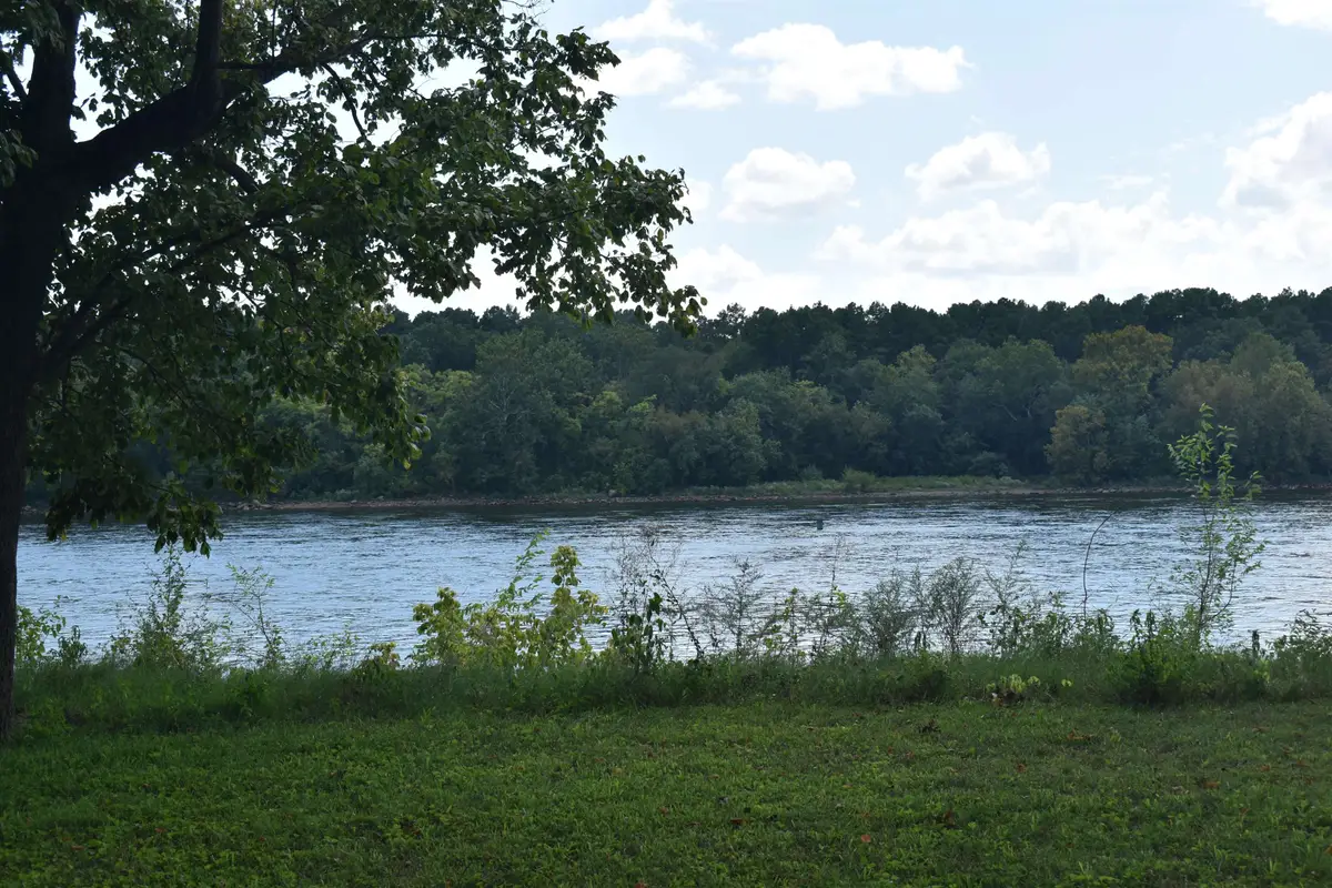 415 ARNOLD LN, Savannah, TN 38326 - Image #1