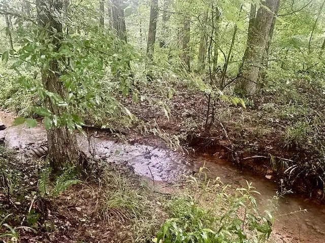 00 FOX LN, Savannah, TN 38372 - Image #2