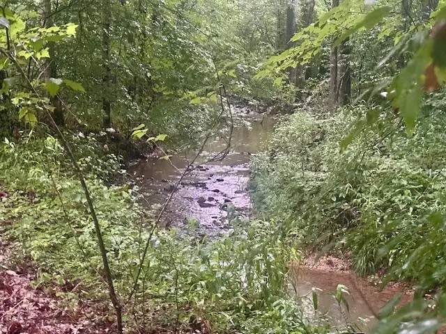 00 FOX LN, Savannah, TN 38372 - Image #3