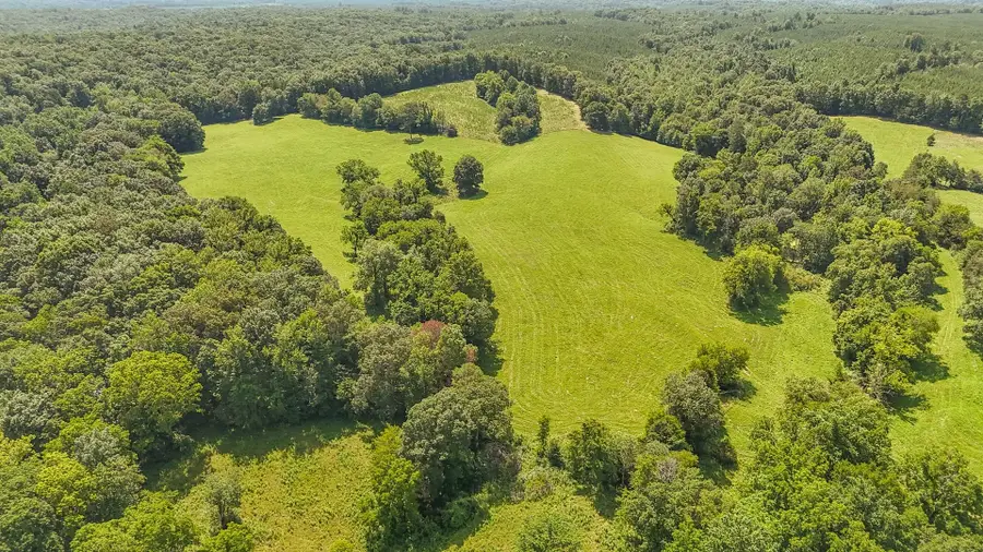 2245 BIG IVY RD, Savannah, TN 38372 - Image #2