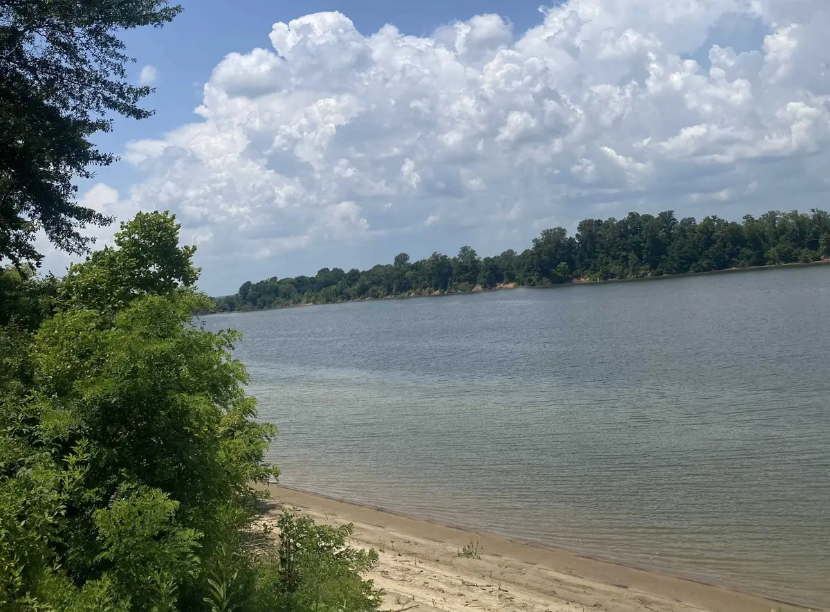 12 CADEN CV, Savannah, TN 38372 - Image #1