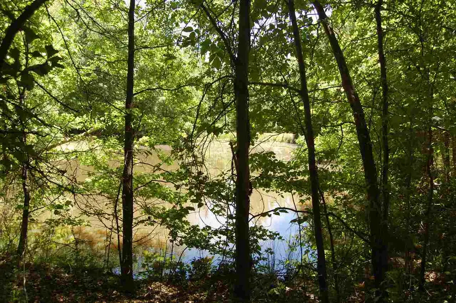 414 LAUREL FALLS CV, Eads, TN 38028 - Image #2