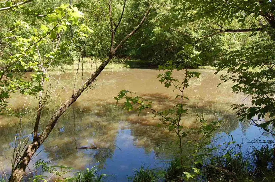 414 LAUREL FALLS CV, Eads, TN 38028 - Image #3