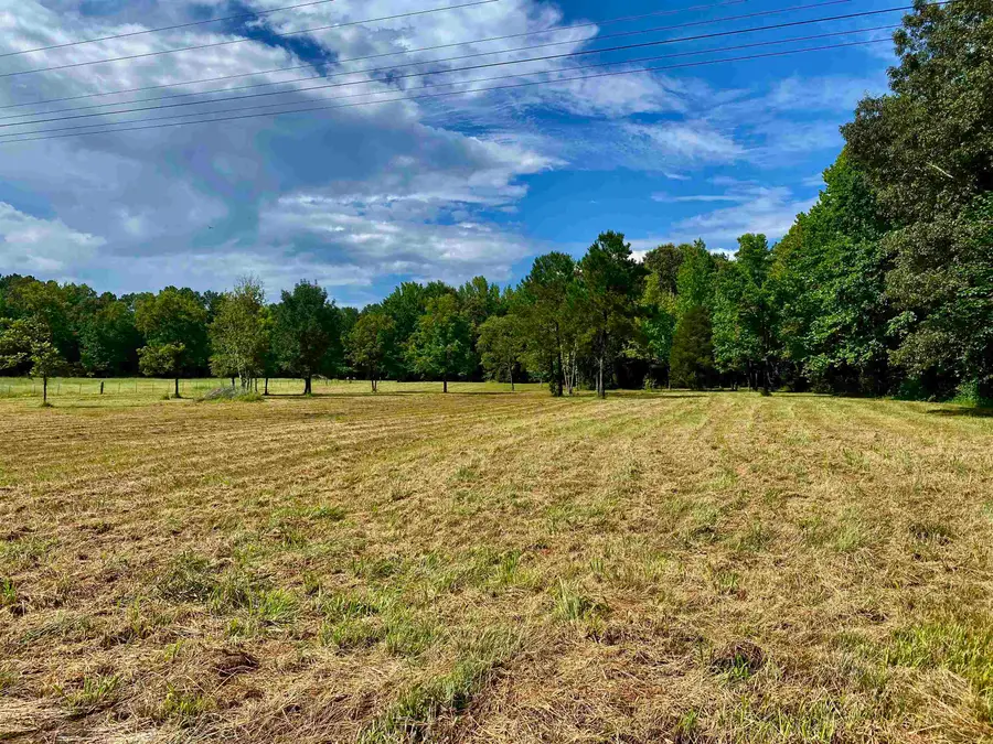 12.63 +/- ACRES PEA VINE RD, Middleton, TN 38052 - Image #2