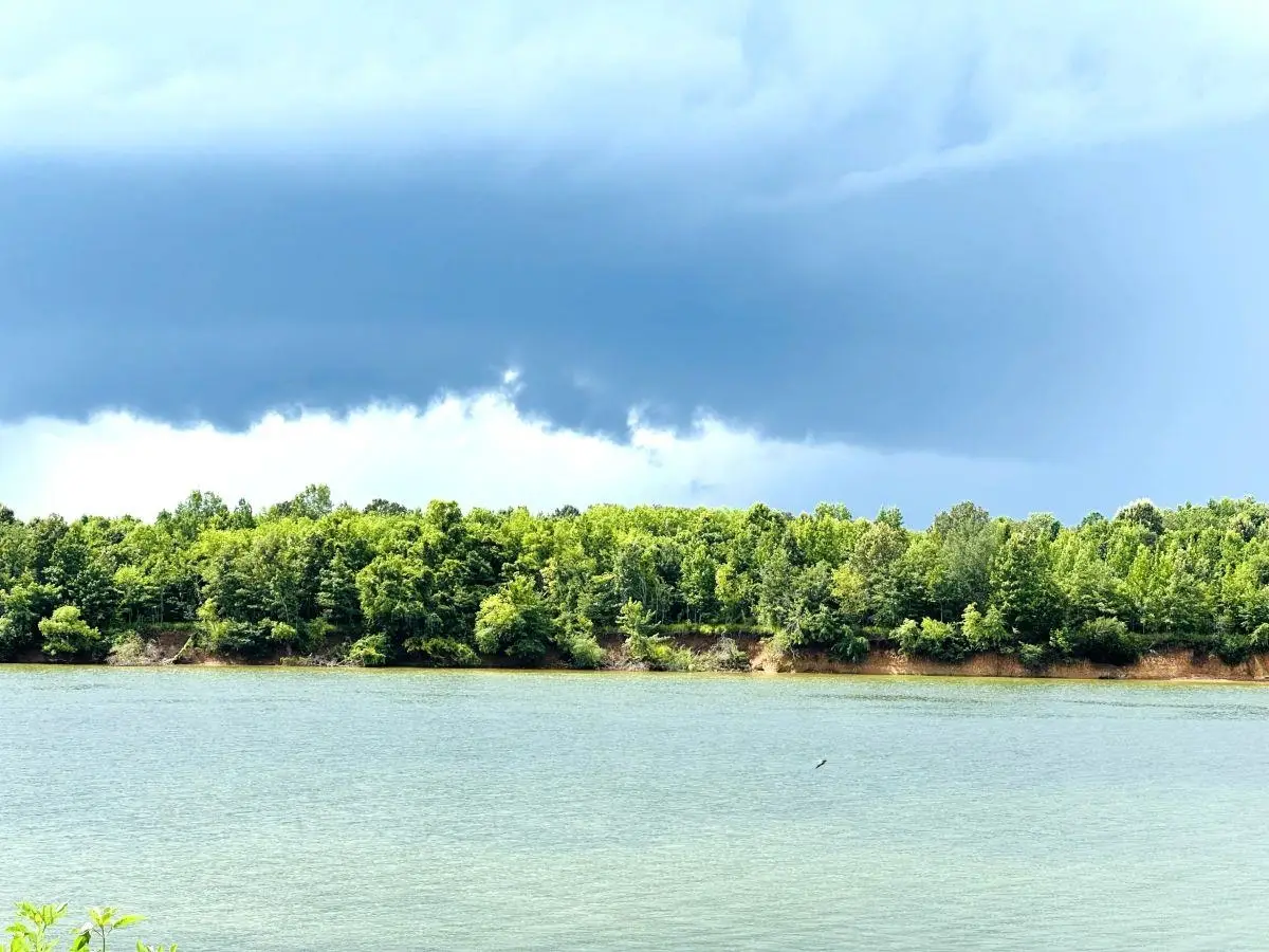 90 CRAVENS RD, Savannah, TN 38372 - Image #1