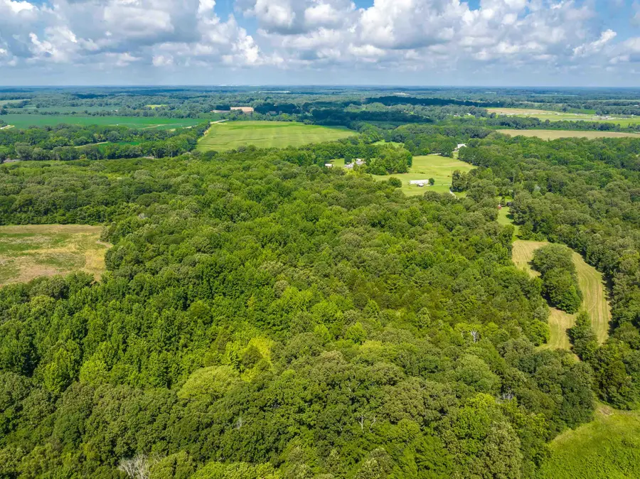 00 JIM HARDISTER RD, Whiteville, TN 38075 - Image #3
