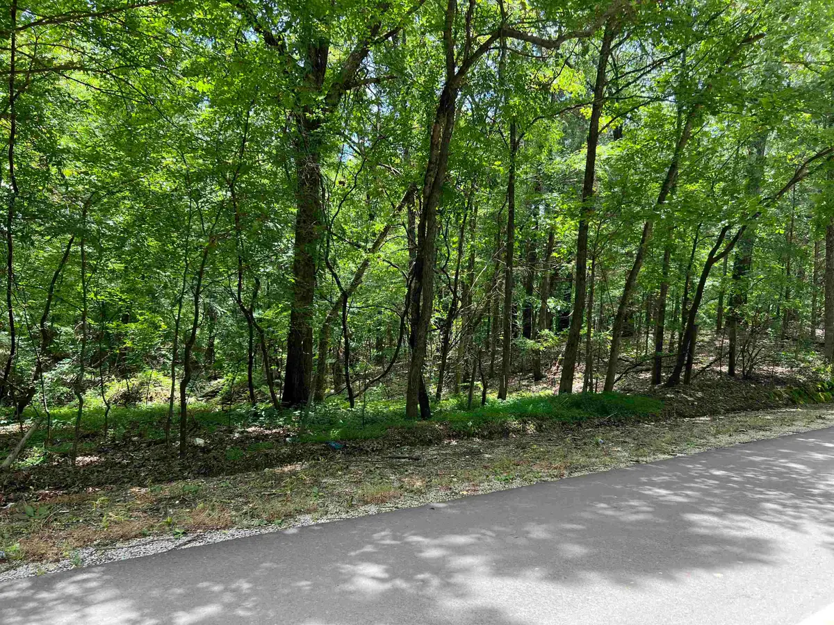 0 WILDCAT BOTTOM RD, Red Banks, MS 38661 - Image #1