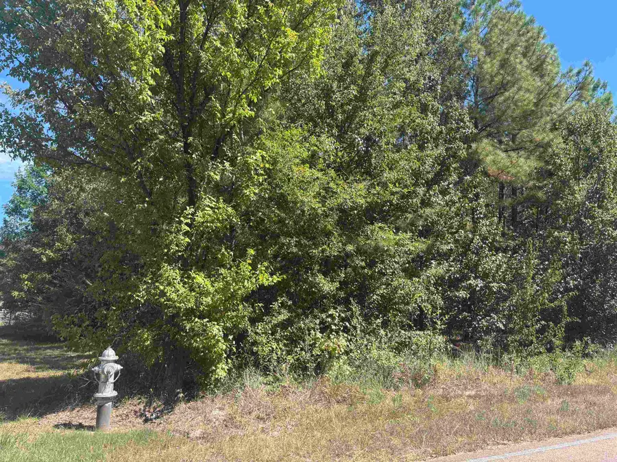 0 MACON RD, Eads, TN 38028 - Image #3