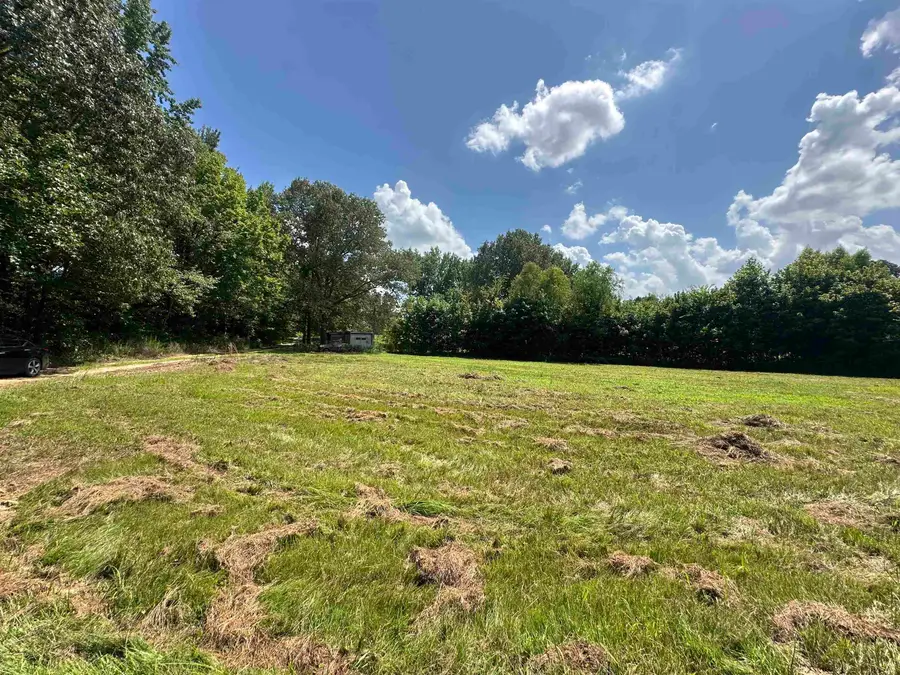 0 OLD L & N RD, Stanton, TN 38069 - Image #2