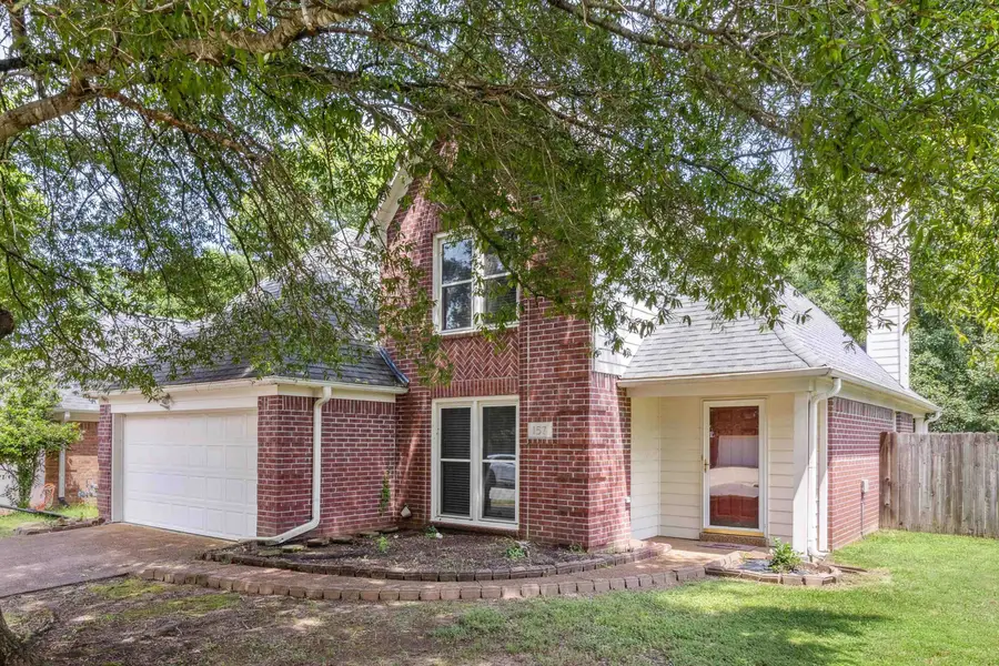 157 DUDNEY MEAD CV, Collierville, TN 38017 - Image #2