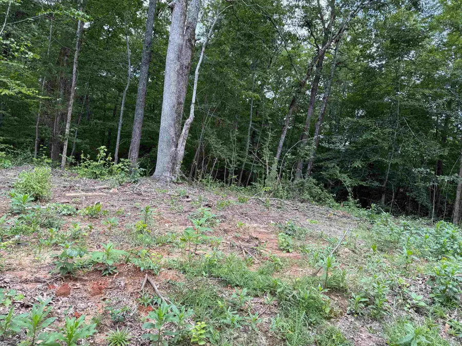 0 69 HWY, Savannah, TN 38372 - Image #3