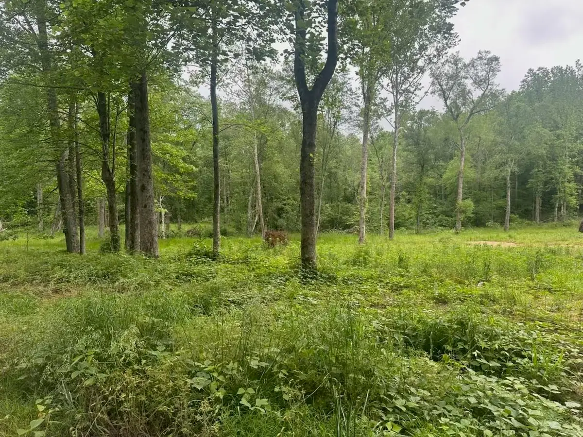 8125 VAN BUREN RD, Saulsbury, TN 38067-8153 - Image #1