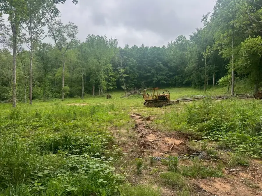 8125 VAN BUREN RD, Saulsbury, TN 38067-8153 - Image #2