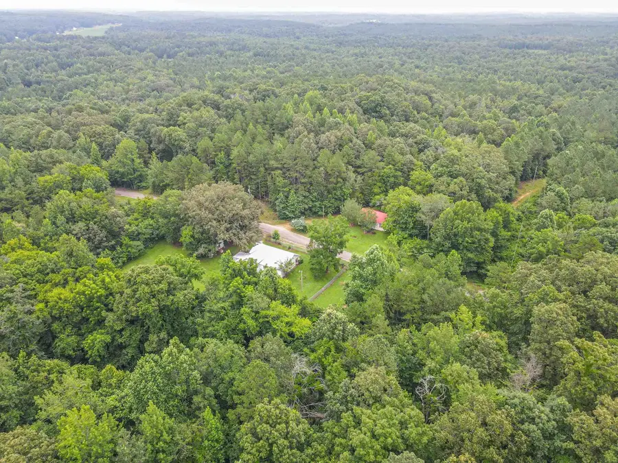 1386 ELVIN WEEKS RD, Bethel Springs, TN 38315 - Image #2