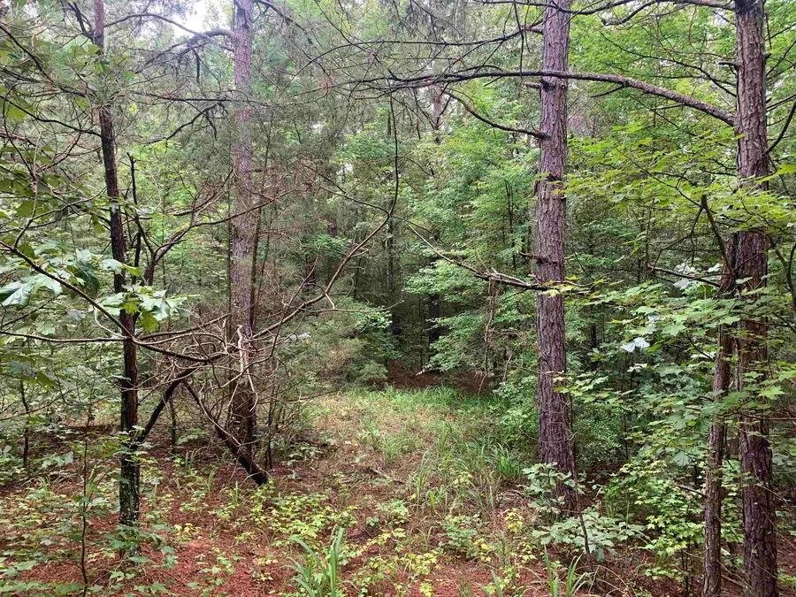 1386A ELVIN WEEKS RD, Bethel Springs, TN 38315 - Image #3