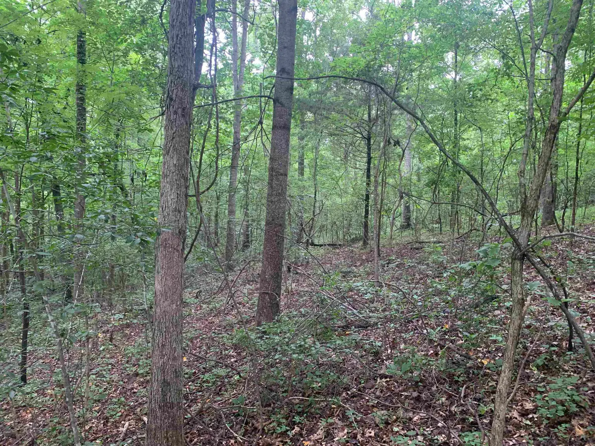 1386C ELVIN WEEKS RD, Bethel Springs, TN 38375 - Image #1