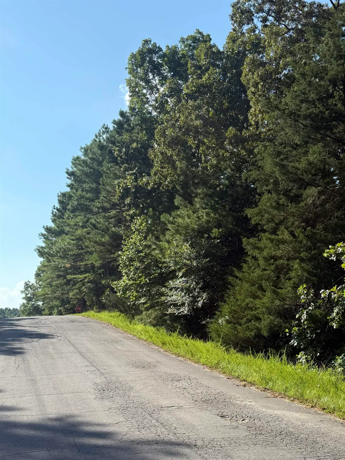 618 N CANDLEWOOD DR -CWL 618 DR, Saulsbury, TN 38067 - Image #1