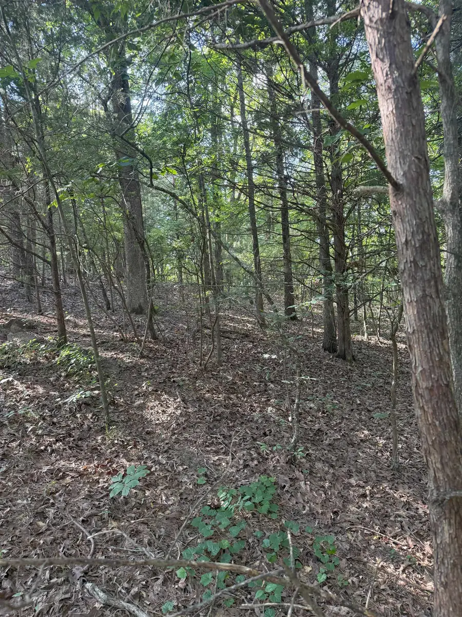 618 N CANDLEWOOD DR -CWL 618 DR, Saulsbury, TN 38067 - Image #3