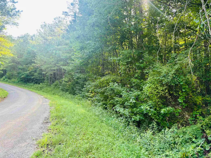 0 OLD LULA RD, Reagan, TN 38368 - Image #2