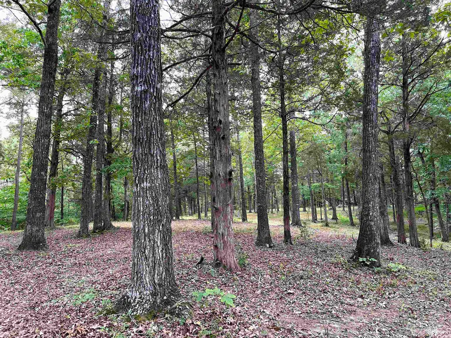 5335 COUNTRY CLUB RD, Somerville, TN 38068 - Image #3