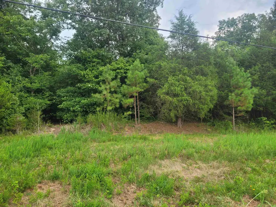 000 LINDEN HWY, Clifton, TN 38425 - Image #2