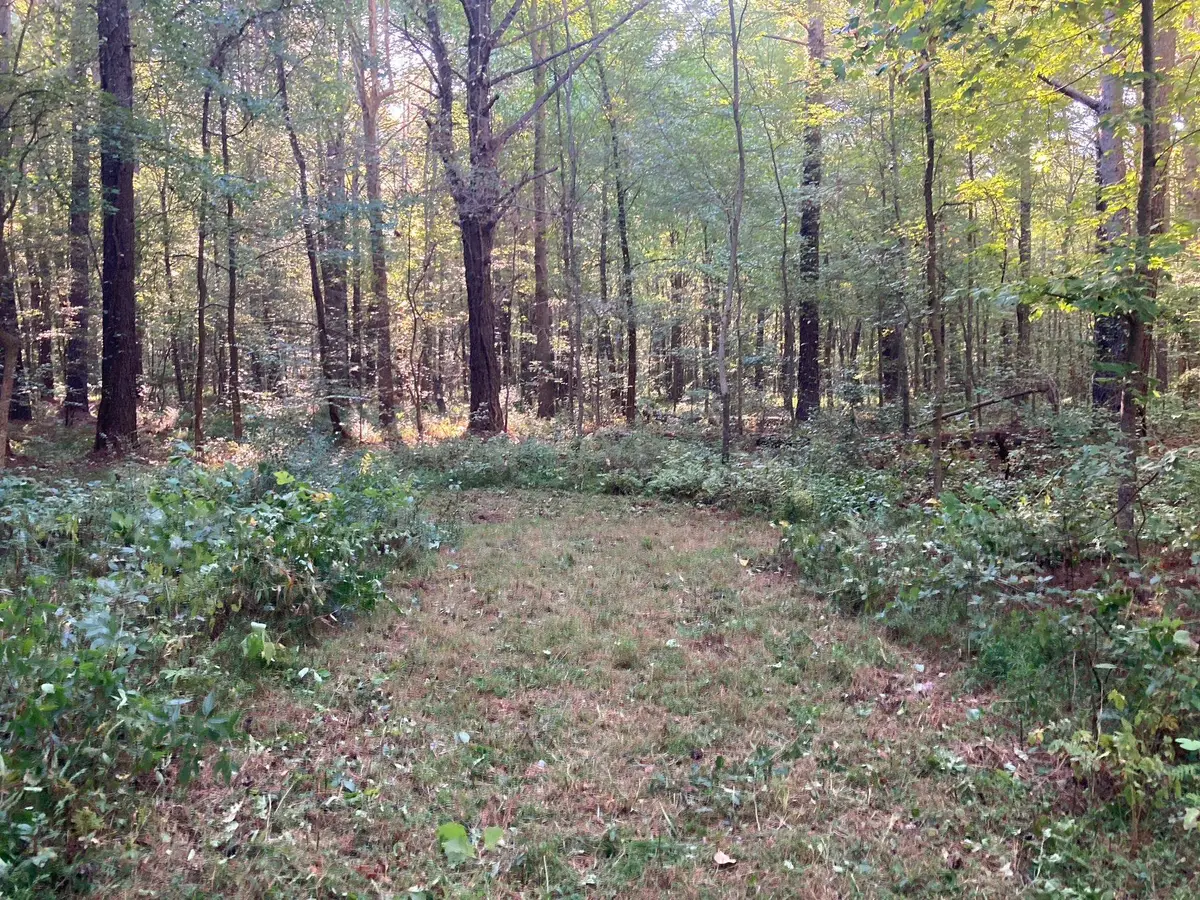 441 SYCAMORE DR, Camden, TN 38320 - Image #1