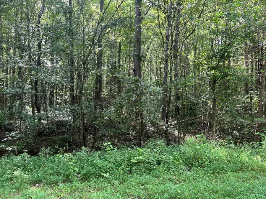 441 SYCAMORE DR, Camden, TN 38320 - Image #2