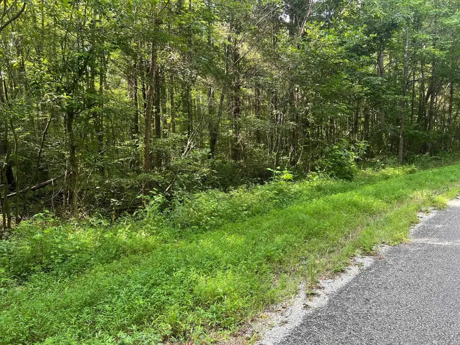 441 SYCAMORE DR, Camden, TN 38320 - Image #3