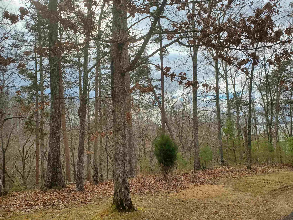 LOT 223 RIDGEVIEW CV, Savannah, TN 38372 - Image #1