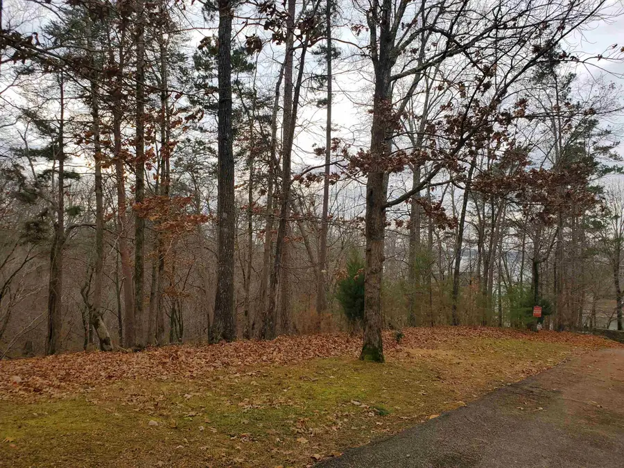 LOT 223 RIDGEVIEW CV, Savannah, TN 38372 - Image #2