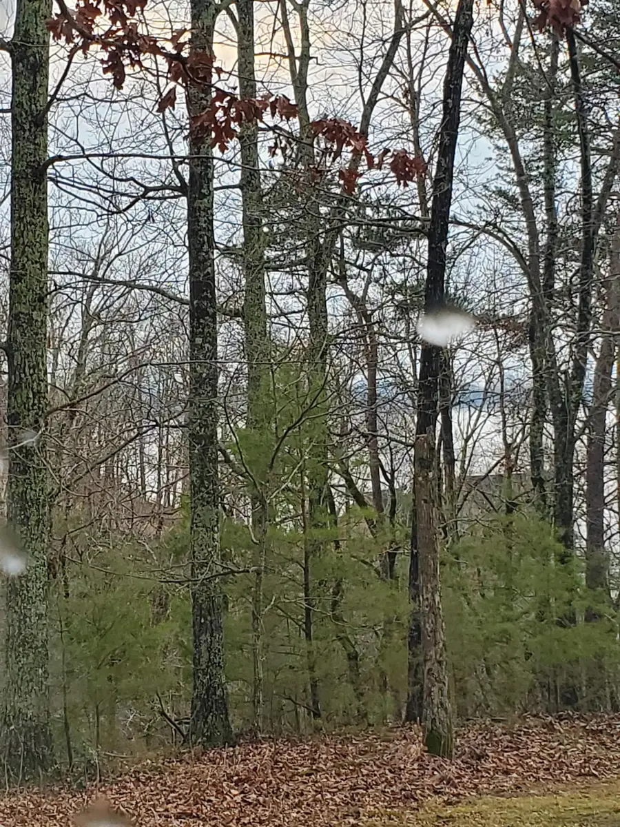 LOT 223 RIDGEVIEW CV, Savannah, TN 38372 - Image #3