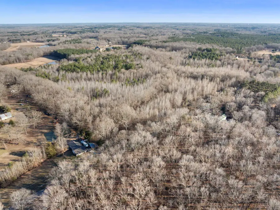 0 JOHN GEORGE LOOP, Michie, TN 38357 - Image #2