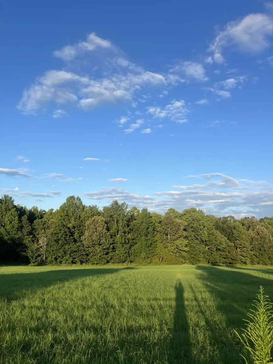 1480 BRUCE RD E, Whiteville, TN 38075 - Image #2