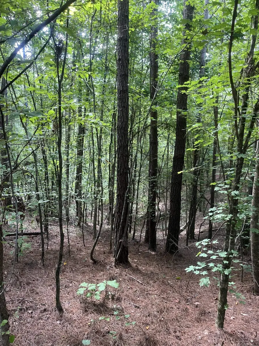 S COUNTY ROAD 437 RD, Ripley, MS 38663 - Image #2