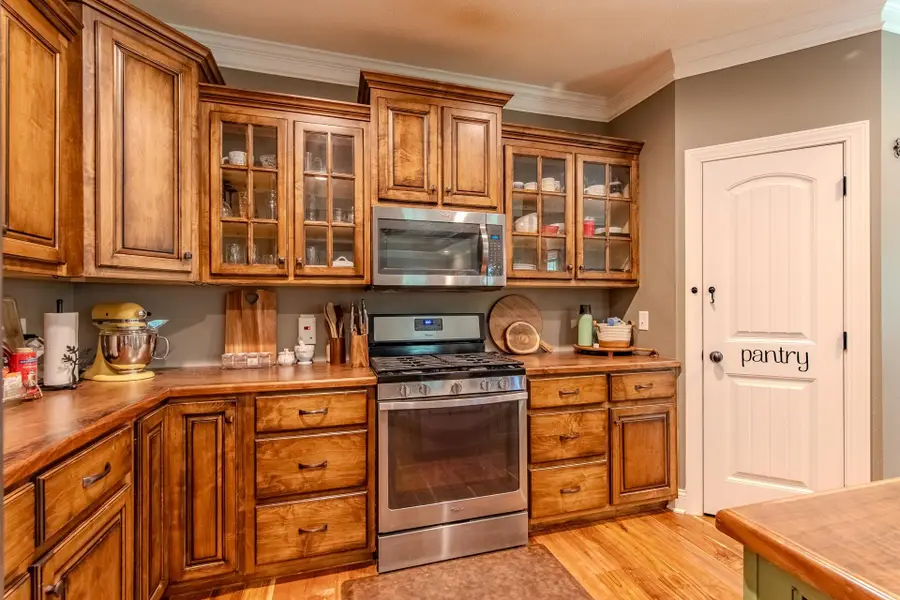 2134 OTIS PLUNK RD, Bethel Springs, TN 38315 - Image #3